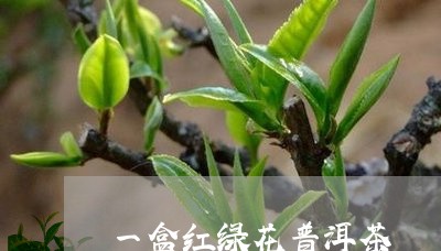 一盒红绿花普洱茶/2023033158482