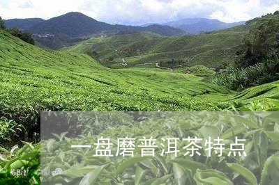 一盘磨普洱茶特点/2023040159294