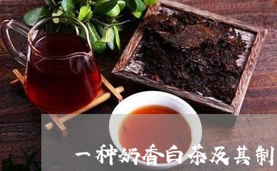 一种奶香白茶及其制作工艺/2023033162817