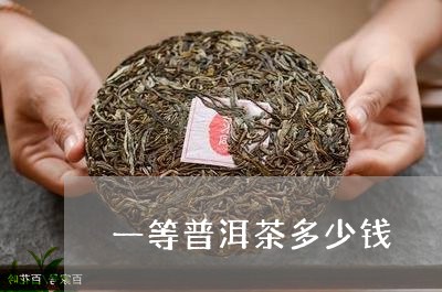 一等普洱茶多少钱/2023033008279