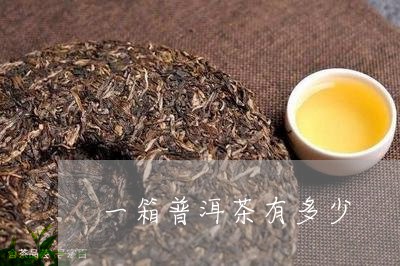 一箱普洱茶有多少/2023033176249