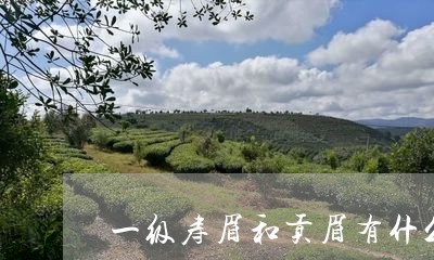 一级寿眉和贡眉有什么区别/2023033190514