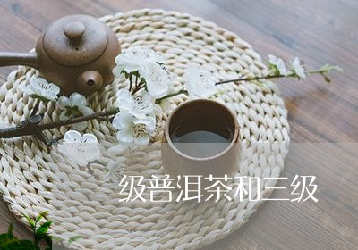 一级普洱茶和三级/2023033091505