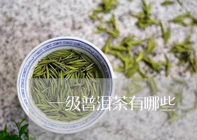 一级普洱茶有哪些/2023033052806