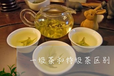 一级茶和特级茶区别/2023032070692