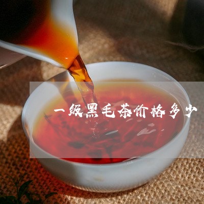 一级黑毛茶价格多少/2023041722796