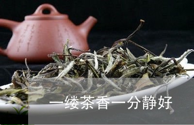 一缕茶香一分静好/2023032429360