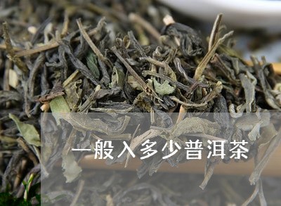 一般入多少普洱茶/2023033103058