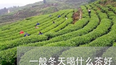 一般冬天喝什么茶好/2023041553837