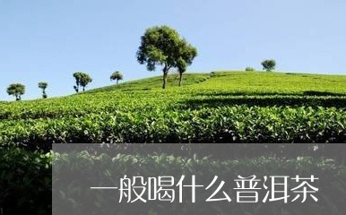 一般喝什么普洱茶/2023033052704