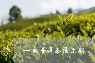 一般普洱茶保质期/2023033064170