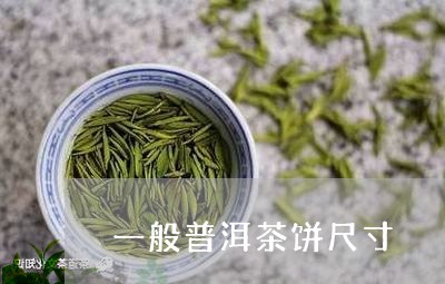 一般普洱茶饼尺寸/2023033112927