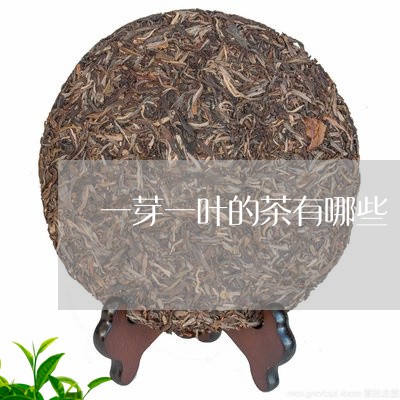 一芽一叶的茶有哪些/2023032073815