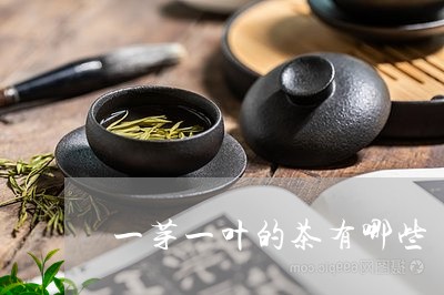 一芽一叶的茶有哪些/2023041591815