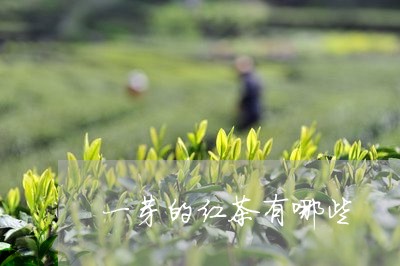 一芽的红茶有哪些/2023032263837