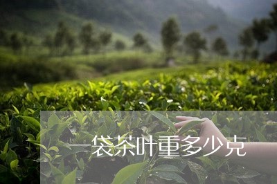 一袋茶叶重多少克/2023032665369