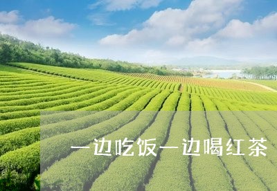 一边吃饭一边喝红茶/2023041558159