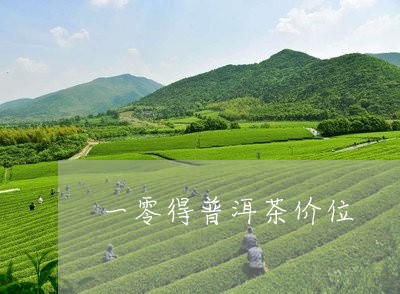 一零得普洱茶价位/2023041004047