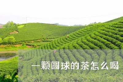 一颗圆球的茶怎么喝/2023031966842