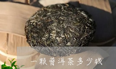 一颗普洱茶多少钱/2023033079571