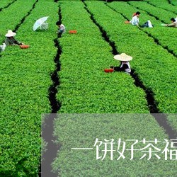 一饼好茶福鼎白茶价格查询/2023033147260