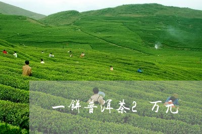 一饼普洱茶2万元/2023033060381