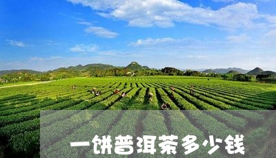 一饼普洱茶多少钱/2023041360703