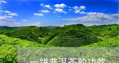 一饼普洱茶的功效/2023040161806