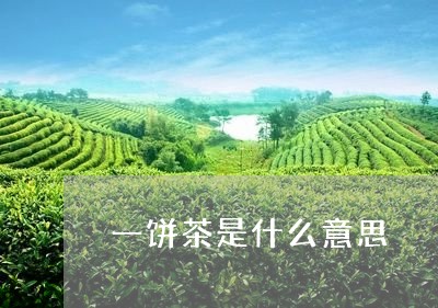 一饼茶是什么意思/2023032504157