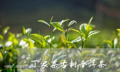 丁家寨古树普洱茶/2023031669493