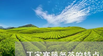 丁家寨藤条茶的特点/2023032294938