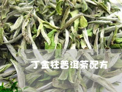 丁金柱普洱茶配方/2023041268382