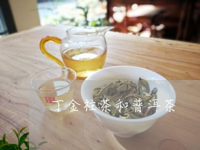 丁金柱茶和普洱茶/2023041149593