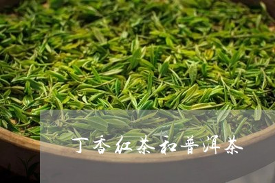 丁香红茶和普洱茶/2023040905046