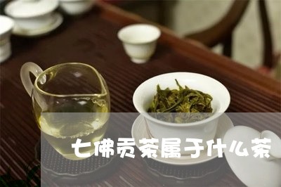 七佛贡茶属于什么茶/2023041531605