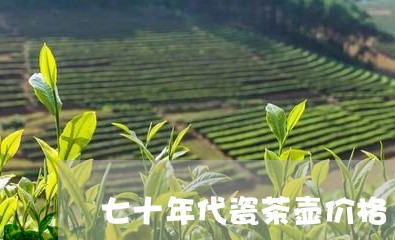 七十年代瓷茶壶价格/2023032065068