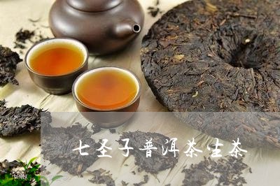 七圣子普洱茶生茶/2023041193248