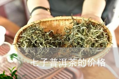 七子普洱茶的价格/2023031740694