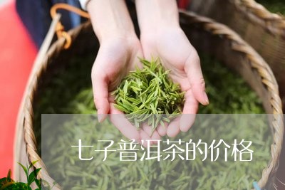 七子普洱茶的价格/2023041390814