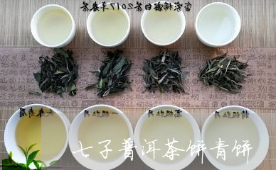 七子普洱茶饼青饼/2023033043916