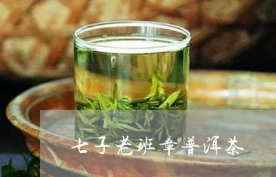 七子老班章普洱茶/2023031751513