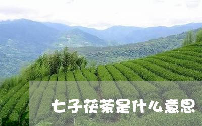 七子茯茶是什么意思/2023041661493