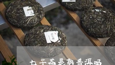 七子茶是熟普洱吗/2023041334361