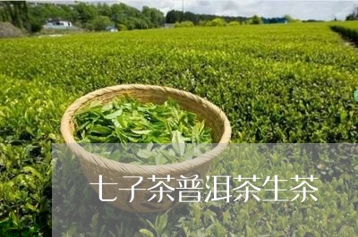 七子茶普洱茶生茶/2023031569514