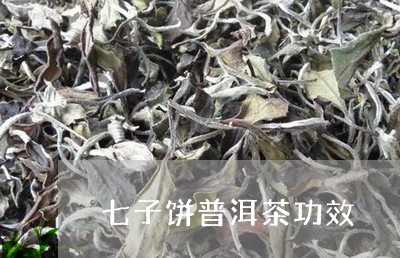 七子饼普洱茶功效/2023041361724