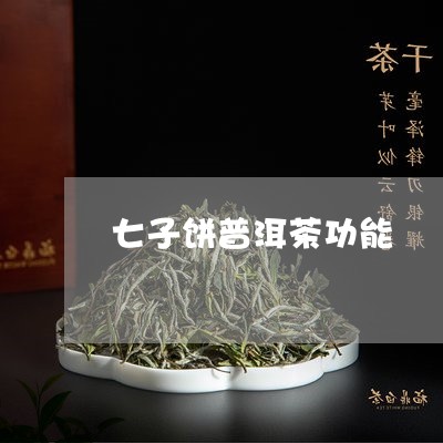 七子饼普洱茶功能/2023040126370