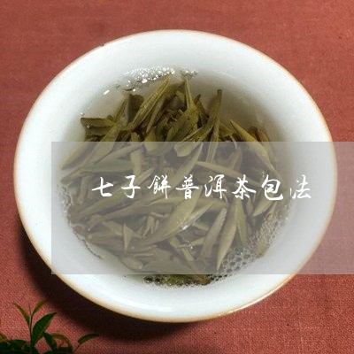 七子饼普洱茶包法/2023033101039