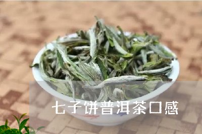 七子饼普洱茶口感/2023033198694