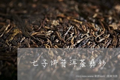 七子饼普洱茶彝衫/2023033032827