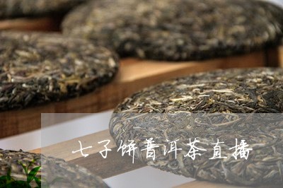 七子饼普洱茶直播/2023031674737